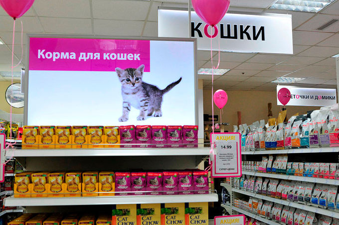 Магазин Для Кошек Краснодар