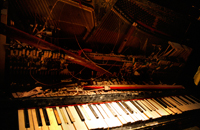 Afterparty показа коллекции White.Trash.for.Cash fall/winter 2008/9 в клубе Justo