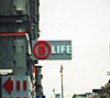 Весна в (ё) life