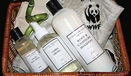 Презентация совместного проекта Luxury Products, New York и Всемирного фонда дикой природы WWW — набор The Eco Box в ресторане Авокадо