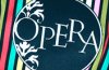 Wawa в клубе Opera