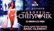 «Дворец Снегурочек» в клубе Up and Down